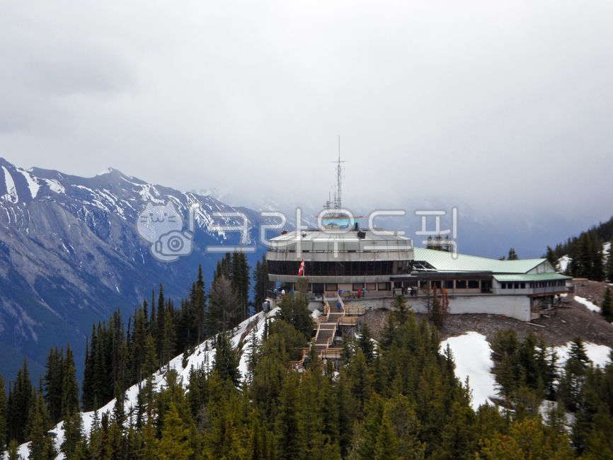 landscapes,natural,rockymountains,rockies,tree,sulfuric acid,rocky mountains,Observatory,rocky,fir,Canada,cloudy,natural scenery,canada,lookout,sulfurmountain,banff