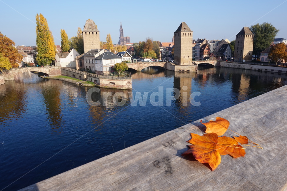 atmosphere,fall leaves,castle,building,fallen leaves,autumn mood,canal,France,tower,architecture,sky,green,nature,tree,autumn scenery,tree branches,autumn feeling,leaf,water,orange,Strasbourg,blue,maple leaves,plant,graffiti,autumn maple leaves,bridge,riv