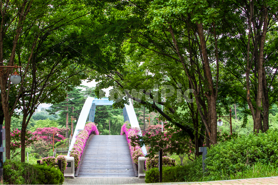 garden,정원,outdoors,옥외,풍경,배경,백그라운드,식물,여름,나무,나무숲,구름다리,다리,교량,꽃,꽃동산,공원,하늘공원,꽃길,숲길,숲,녹음,녹색,그린,녹색길,가로등,교각,전구,전등