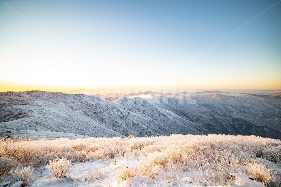 설산,태백산,겨울산,겨울,상고대,풍경,겨울풍경,눈꽃,nature,자연,mountain,산맥,산,겨울,계절,winter,season,자연,풍경,nature,landscape