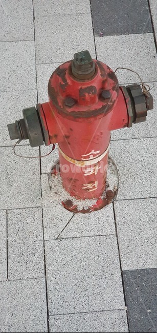 freplug,소화전,red,도로,안전