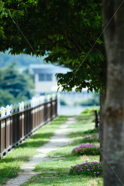 공원,산책,여유,햇살,여름,휴식,자연,풍경,nature,landscape,여름,계절,summer,season,휴식,힐링,rest,relaxation,healing