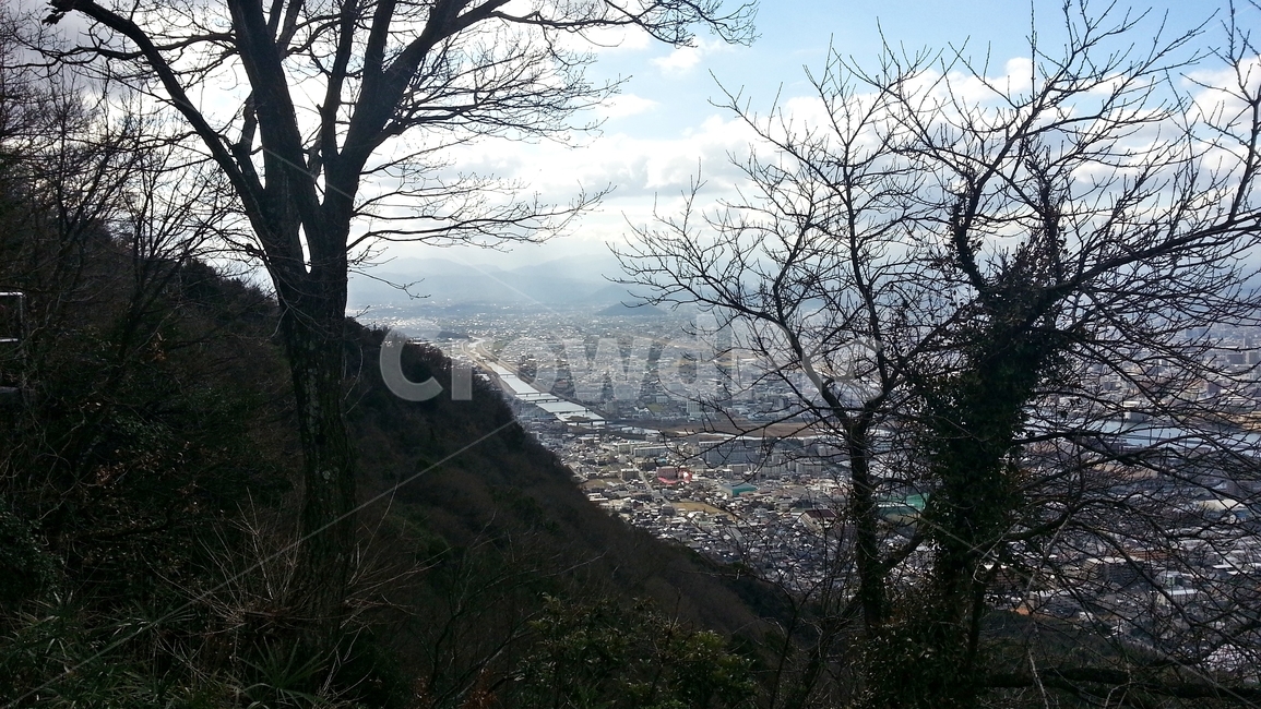 나무,산,도시,하늘,구름,건물,도시,풍경,city,landscape