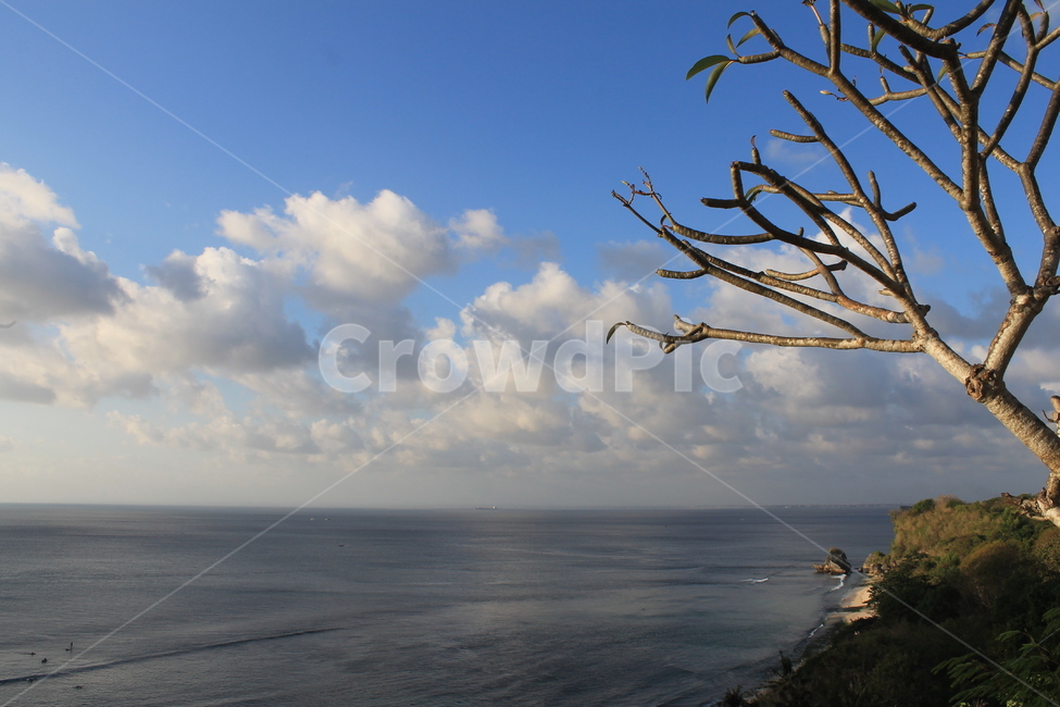 인도네시아,발리,바다,해변,자연,indonesia,bali,sea,beach,nature,나무,하늘,tree,sky,나무,trees,wood