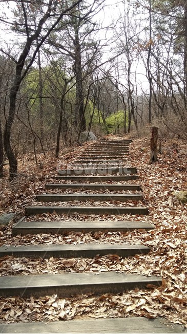 봄,봄풍경,봄산,봄계단,봄숲