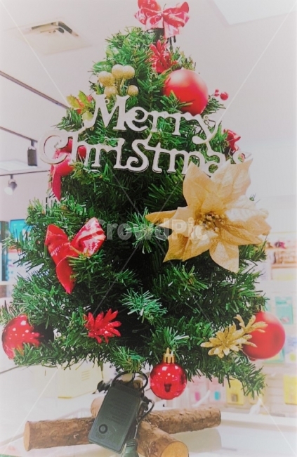 크리스마스트리,크리스마스,성탄설,산타,선물,장식,꾸미다,귀여운,작은,chrismas,chrismastree,santa,deco,cute,small,smalltree,겨울,계절,winter,season,기념일,축하,anniversary,congratulation,celebrate,celebration,메리크리스마스,성탄절,merry christmas