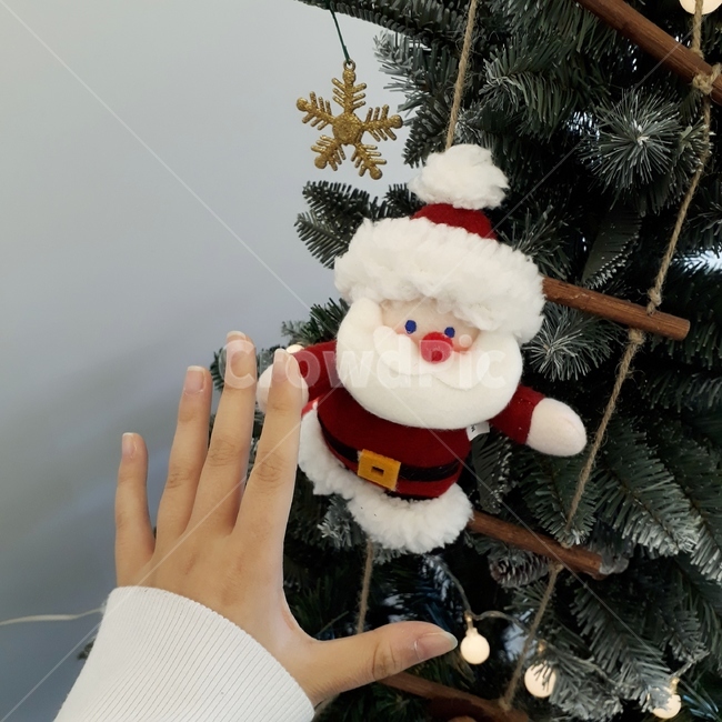 크리스마스,트리,산타,인형,성탄절,겨울,계절,winter,season,기념일,축하,anniversary,congratulation,celebrate,celebration,메리크리스마스,성탄절,merry christmas