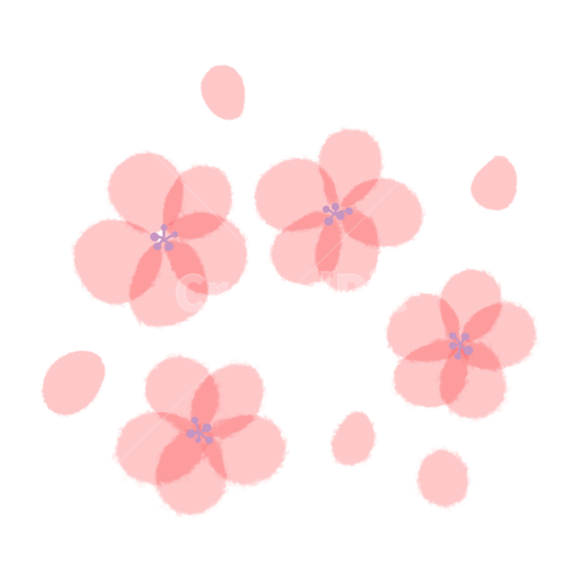 꽃일러스트,꽃,꽃잎일러스트,봄,봄꽃일러스트,자연,손그림,일러스트,꽃그리기,분홍꽃,봄꽃,계절,꽃벡터,벚꽃일러스트,벚꽃,진달래,진달래일러스트,blossom,꽃잎,식물,꽃수채화