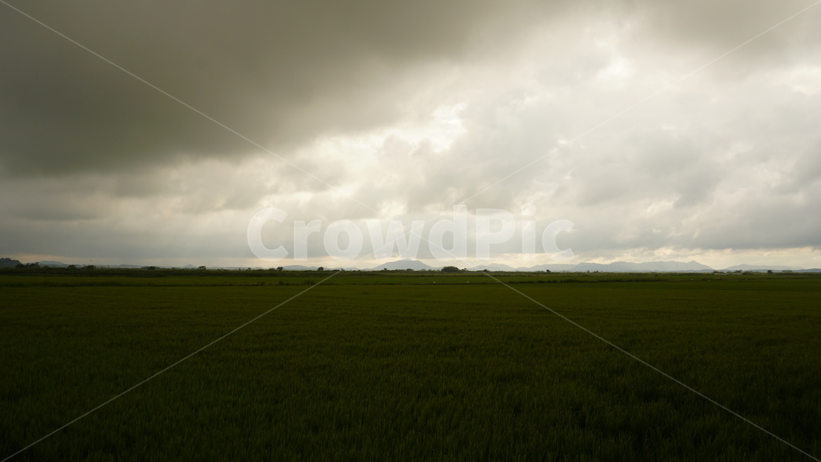 여름,장마,감성사진,구름,하늘,풍경,고독함,자연,풍경,nature,landscape,grassland,목초지,field,들,outdoors,옥외,paddy field,패디 필드