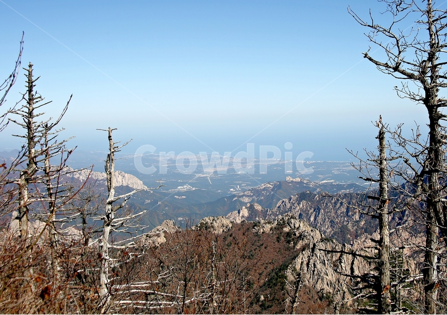 가을,설악산,쓸쓸함,휴식,등산,가을,계절,fall,autumn,season,자연,풍경,nature,landscape,한국자연풍경,한국자연경관,korea nature landscape,plant,식물,tree,나무,abies,아비,fir,전나무,outdoors,옥외