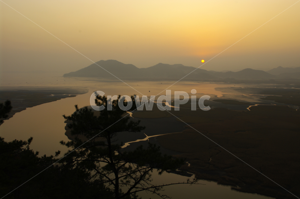 순천만,일몰,석양,노을,풍경,갈대밭,자연,풍경,nature,landscape,한국자연풍경,한국자연경관,korea nature landscape,flare,플레어,light,빛,outdoors,옥외,sunlight,햇빛