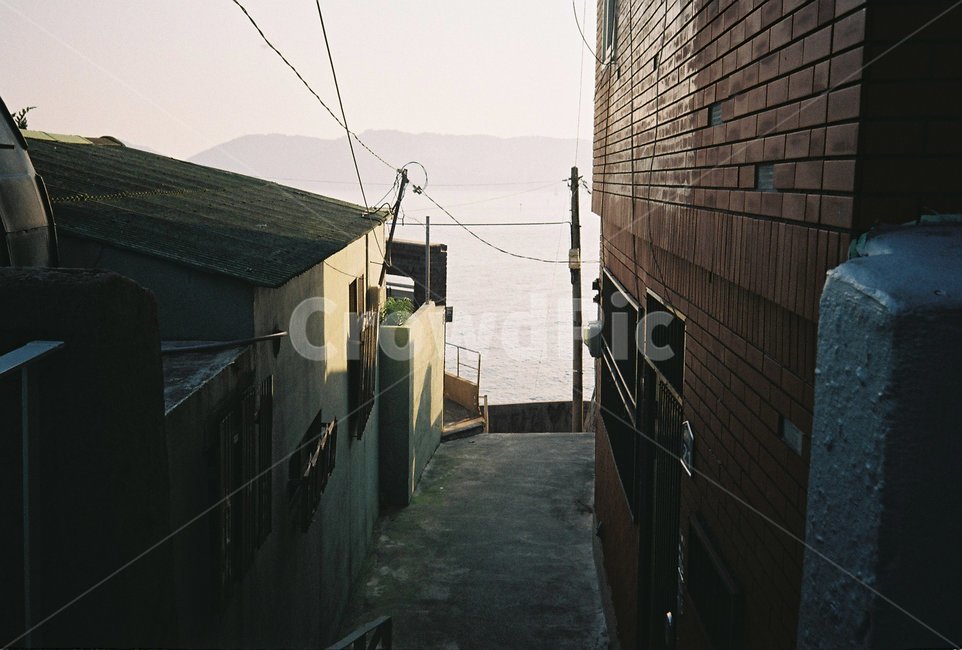 영도,부산,바다,골목길,필름사진,골목길,alley,banister,난간,handrail,urban,어반,town,도시,street,거리,building,건물,city,시티,road,도로