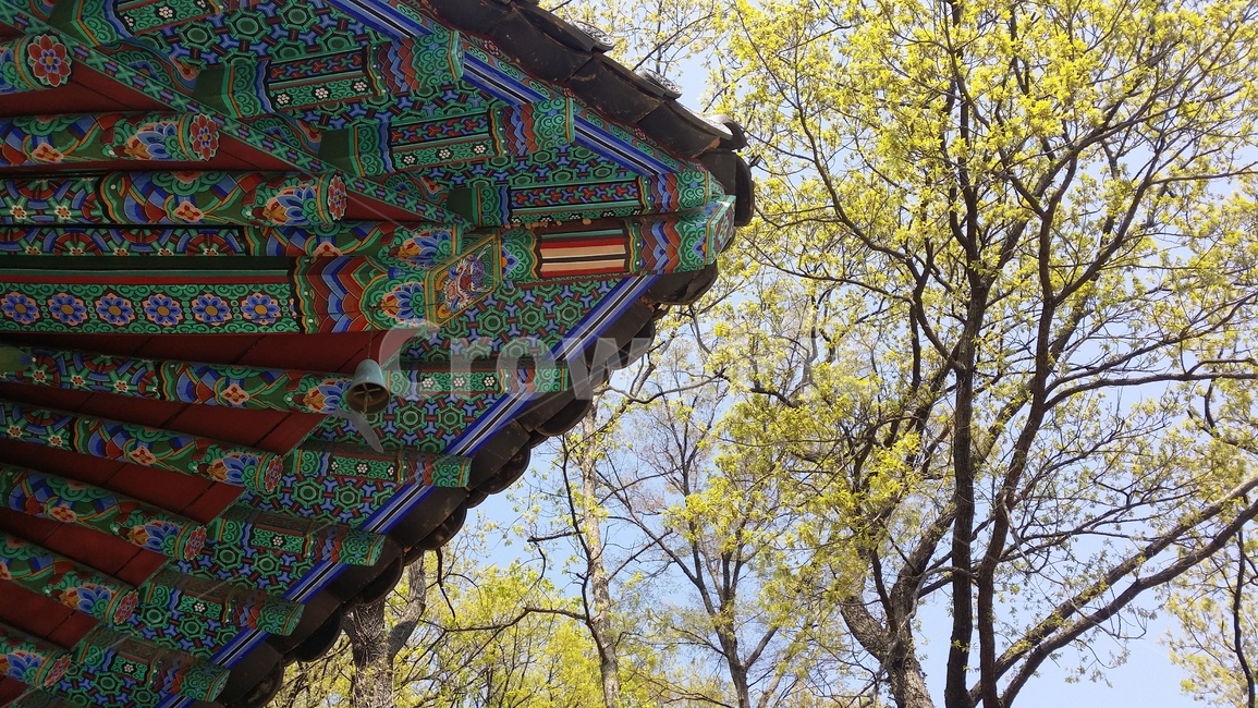 풍경,배경,한국,랜드마크,자연,감성,분위기