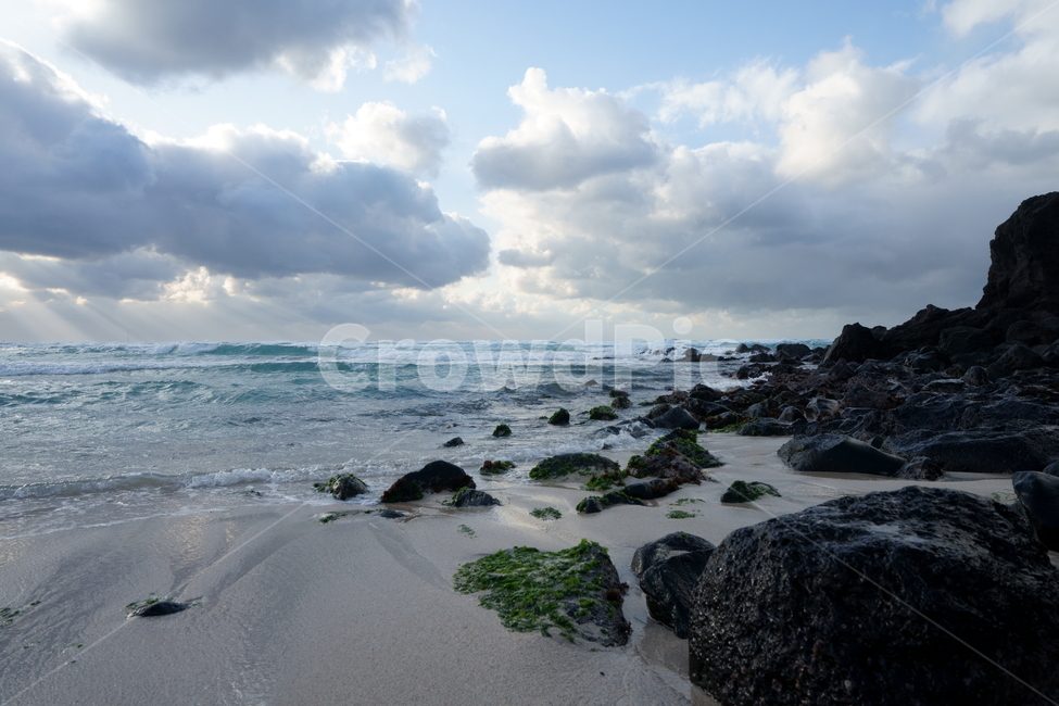 제주도,자연,겨울바다,파도,해변,제주바다,koreanature,wintersea,sea,wave,coast,jejuisland,jeju