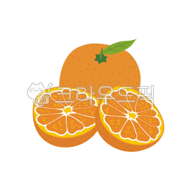 손그림,귤,과일그림,귤그림,맛있는귤,과일