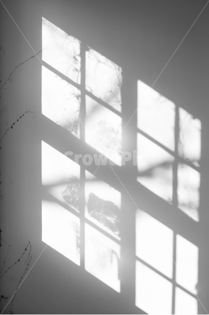 빛,그림자,흑백,감성,실루엣,Light,Shadow,Monochrome,감성,sensible,feeling,인테리어,실내디자인,interior design
