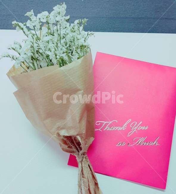 시넨시스,편지,꽃,예쁜꽃,흰색꽃,흰꽃,선물,편지꽃,꽃,flower,기념일,축하,anniversary,congratulation,celebrate,celebration