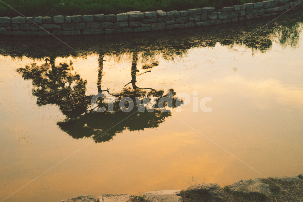 노을,붉은노을,저녁노을,반영,나무,자연,풍경,nature,landscape,water,물