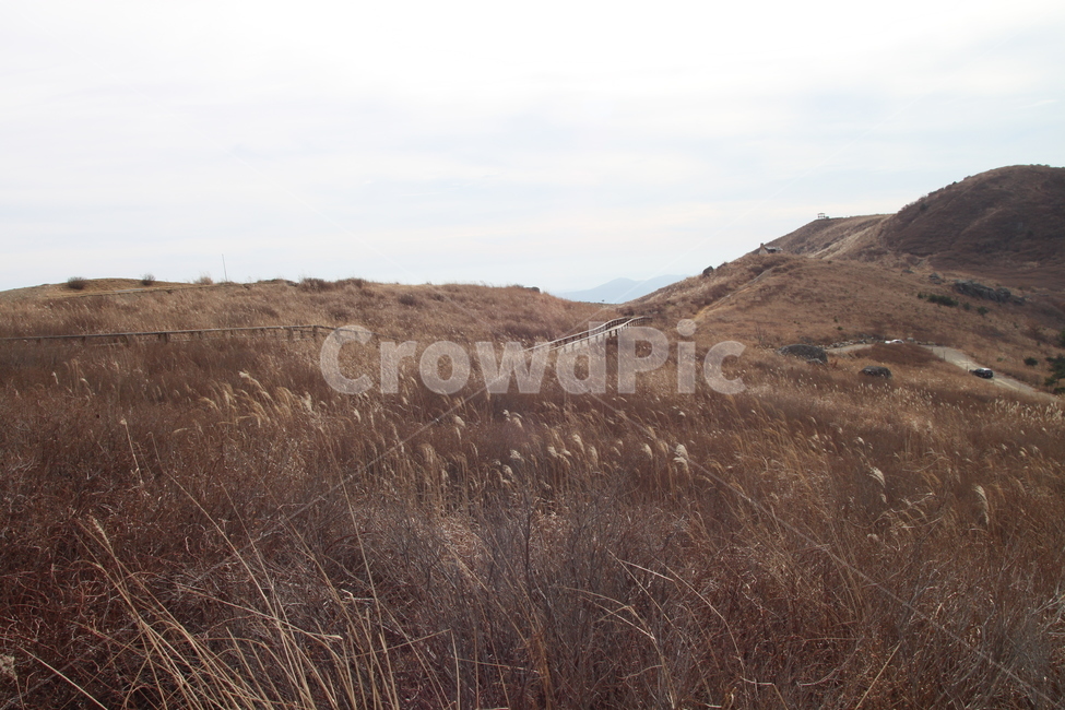 초원,갈대,정상,하늘,산,산길,황량함