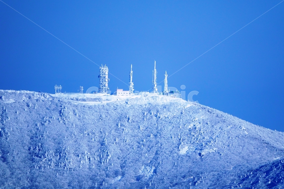 태백산,국립공원,설경,겨울,나무,주목,함백산,폭설,상고대,하늘,겨울,계절,winter,season