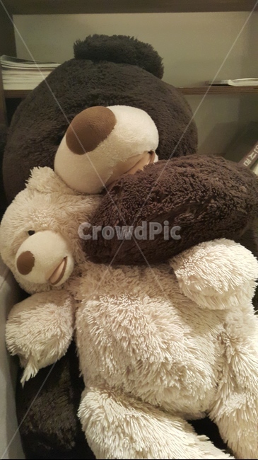 곰인형,곰돌이,커플곰돌이,zzz,빅사이즈곰인형