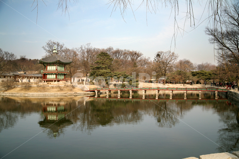 경복궁,고궁,향정원,광화문,구름,연못,다리,식물,나무,가을,한국전통,한국문화,korean traditional,korean culture,랜드마크,landmark,tourist attraction,한국랜드마크,한국관광지,한국명소,korea landmark,korea tourist attraction,건축물,건물외관,exterior,building,structure,architecture,construction