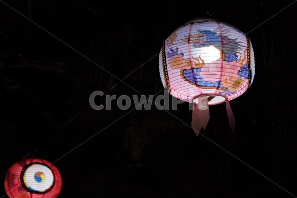 부처님오신날,연등행사,불교,부처님,석가탄신일,종교행사,종교,religion,lotus,lotuslantern,paperlight,light,등,연등,연꽃모양,blue,dark,night,밤,전통,한국전통,문화,culture,traditional,koreantraditional,colorful,절,축제,festival,celebrate,celebration,birthday,buddha,buddhasbirthday,buddhist,buddhism,색깔,color,문화행사,decoration,장식