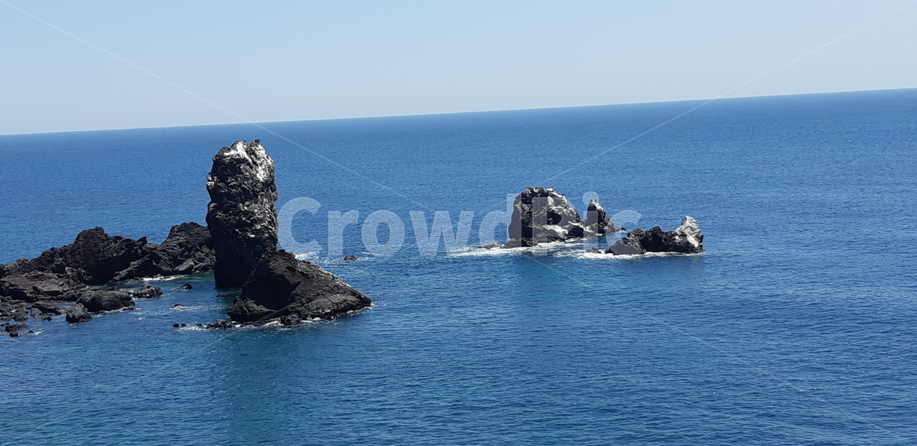 고래,바다,하늘,맑음,수평선,제주도,바위,산책