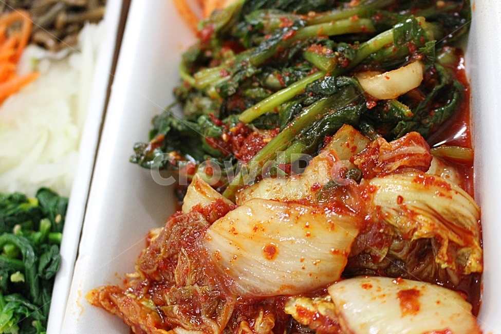 김치,반찬,음식,요리,한국음식,kimchi,sidedish,food,cooking,전통,배추,식재료,한국요리,koreafood