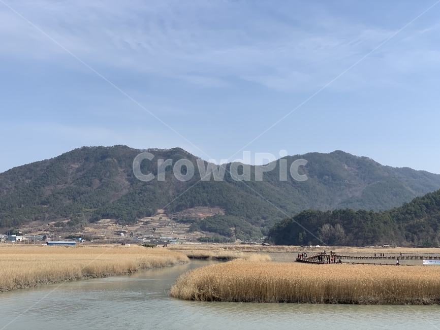 순천,순천만습지,야외풍경,갈대,강,가을,자연,풍경,nature,landscape,한국자연풍경,한국자연경관,korea nature landscape,land,땅,outdoors,옥외,water,물