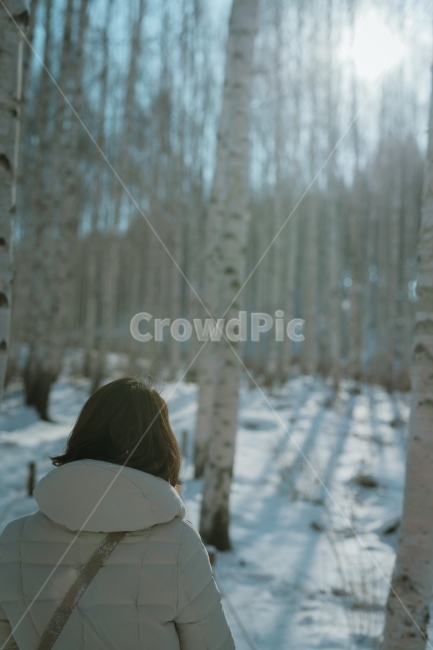 겨울,나무,자작나무숲,눈,겨울여행,강원도,모델,인물사진,겨울,계절,winter,season,식물,자연,plants,nature,나무,trees,wood,사람,인물,인간,human,person,여성,여자,woman,female,lady,휴식,힐링,rest,relaxation,healing