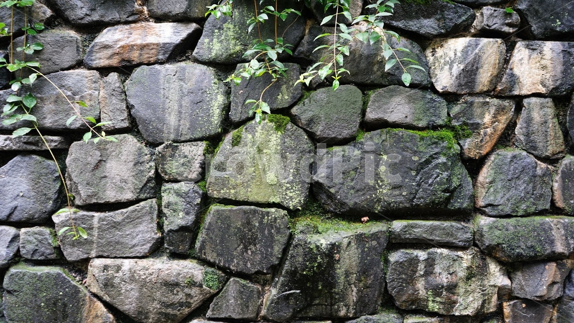 돌,축대,견고,건축,인공,구조물,안전,rock,embankment,strong,solid,sturdy,safety,배경,background,stone,moss,이끼,건축물,건물외관,exterior,building,structure,architecture,construction