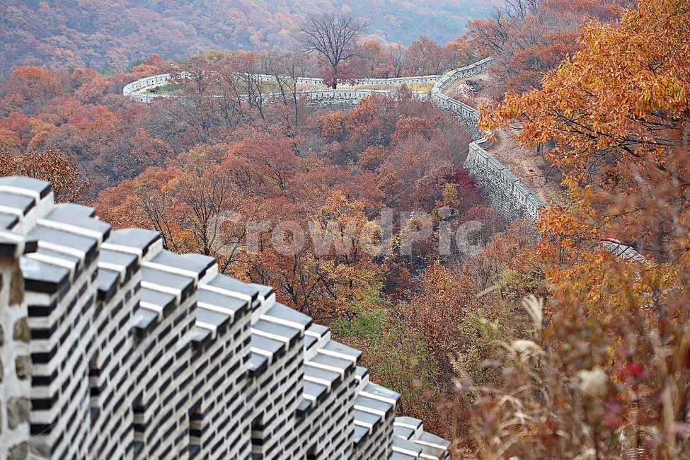 남한산성,성,성곽,단풍,낙엽,길,둘레길,숲,숲길,담,돌담,가을,자연,풍경,벽,울긋불긋,산성,식물,가을,계절,fall,autumn,season,한국전통,한국문화,korean traditional,korean culture,건축물,건물외관,exterior,building,structure,architecture,construction,nature,outdoors,옥외,landscape,경치,scenery