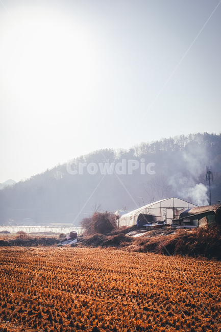 시골집,나무,비닐하우스,연기,굴둑,산,벼짚,겨울,계절,winter,season,시골,마을,풍경,landscape,country,rural,town