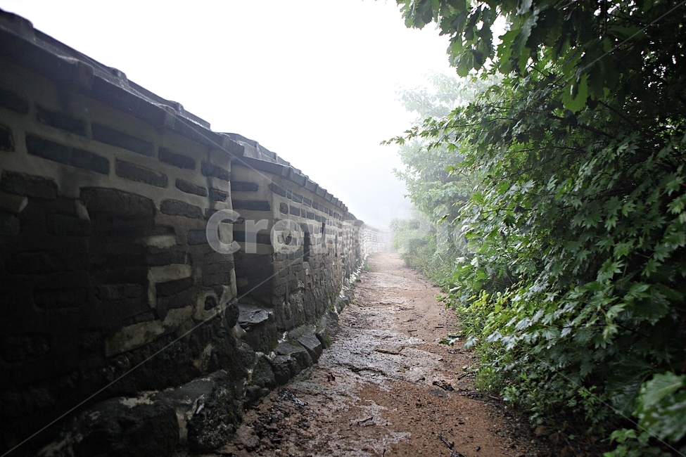 남한산성,성곽,둘레길,길,숲,숲길,안개,돌담,담,성