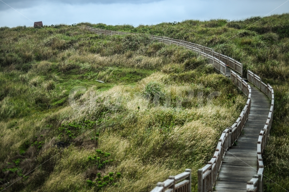 제주도,비오는날,비,바람,가을,자연,풍경,nature,landscape,building,건물,bridge,다리