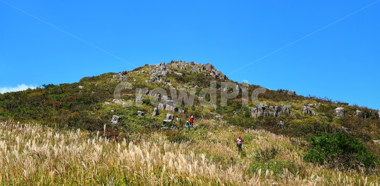 입석대,갈대,장불재,중머리재,무등산,산,가을,계절,fall,autumn,season,자연,풍경,nature,landscape,한국자연풍경,한국자연경관,korea nature landscape,outdoors,옥외