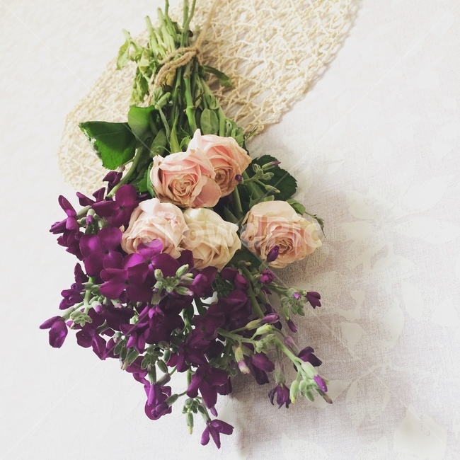 꽃,선물,꽃말리기,flowers,gift,rose,장미,특별한날,보라색꽃,핑크장미,꽃이좋은,꽃향기,dryflowers,식물,자연,plants,nature,꽃,flower