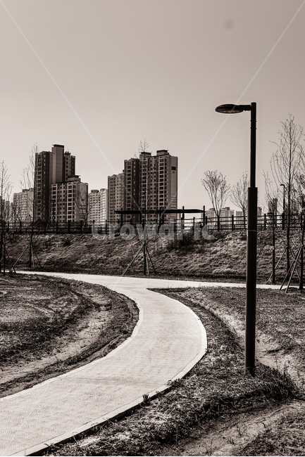 가로등,산책로,흑백사진,아파트,풍경,산책길,공원,흐린날,도시,풍경,city,landscape,한국도시풍경,한국도시경관,korea cityscape,흑백,모노톤,monochrome,black and white,asphalt,아스팔트