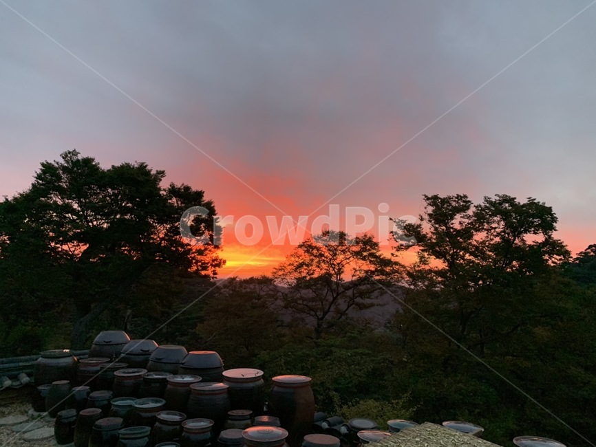 석양,일출,일몰,나무,장독대,한국,nature,자연