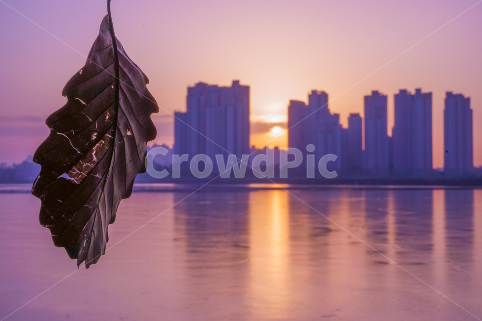 호수,건물,아파트,낙엽,거미줄,잎,잎새,풍경,도시,풍경,city,landscape,한국도시풍경,한국도시경관,korea cityscape