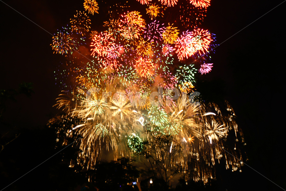 lighting,조명,축제,festival,불꽃,flame,outdoors,fireworks,fireworksdisplay,야경,밤,풍경,nightscape,night,landscape,축제,행사,festival,carnival,event,nature,자연,옥외,tree,나무,christmas tree,크리스마스 트리,ornament,장식,plant,식물