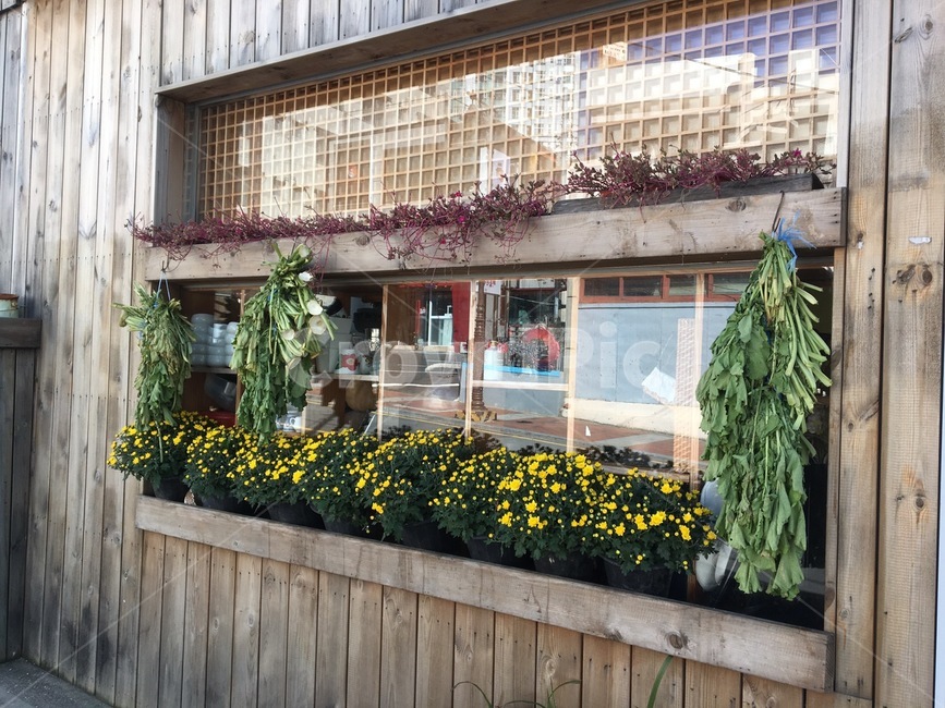 창,창문,노란꽃,시래기,장식,식물,자연,plants,nature,꽃,flower,인테리어,실내디자인,interior design