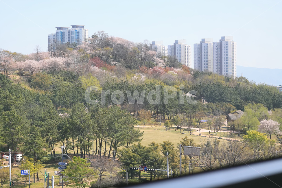 강변공원,봄경치,풍경,김해시,수로왕릉역