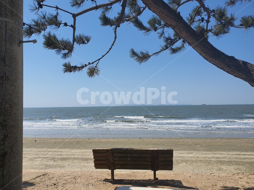 해안가,바다풍경,벤치,휴식,힐링,소나무,해변
