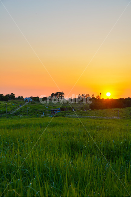 구름,하늘,야외,sky,cloud,nature,들,자연,grassland,목초지,outdoors,옥외,field,자연,풍경,nature,landscape