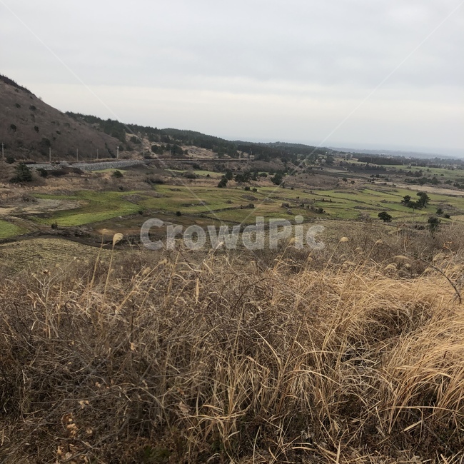 오름,제주도,outdoors,제주도오름,nature,자연,field,들,grass,식물,grassland,목초지,savanna,대초원