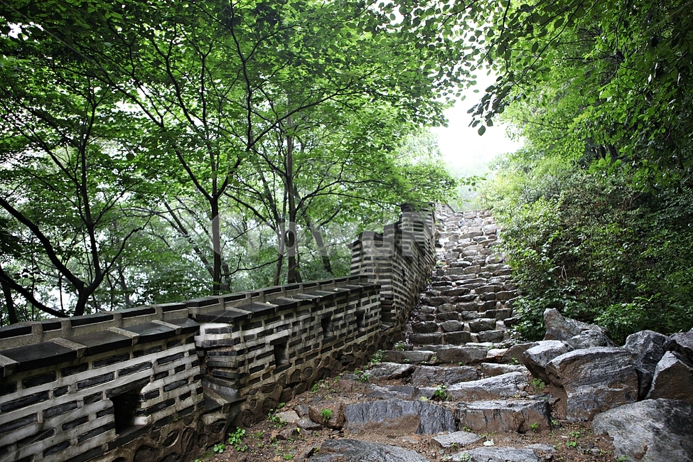 남한산성,성,성곽,길,둘레길,벽,숲,숲길,담,돌담,여름,풍경