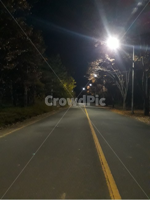 대구,팔공산,방짜유기박물관,나무,가을밤,자연,풍경,nature,landscape,야경,밤,nightscape,night,asphalt,아스팔트,road,도로,highway,고속도로,freeway,고속 도로