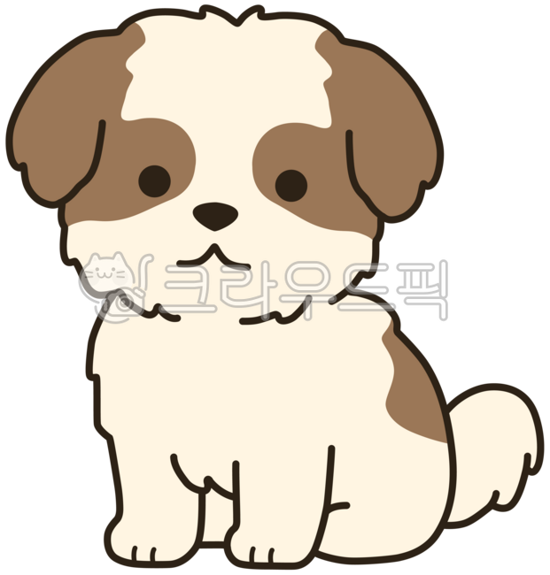 멍멍이,강아지,개,동물,반려동물,댕댕이,귀여움,친구,착한,시츄